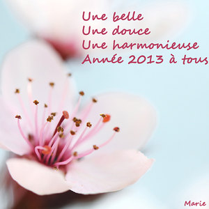 meilleurs voeux 2013