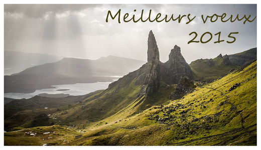 Voeux 2015 