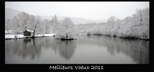 Meilleurs voeux 2011