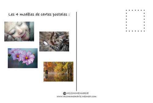 Les 4 modèles de cartes postales