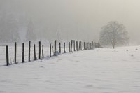 champ enneig&eacute; nord is&egrave;re