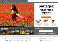 The dance of flowers